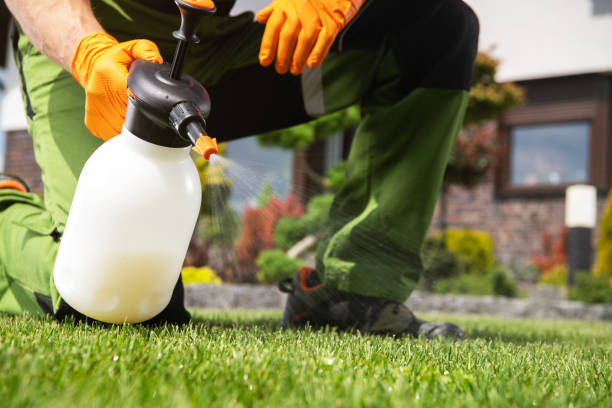 Best Termite Control Services  in Fairfield, IA