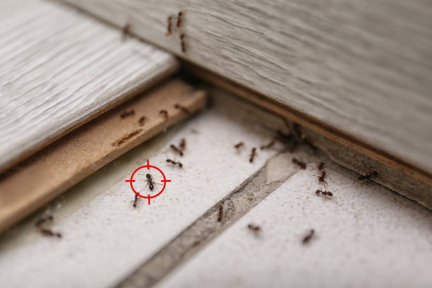  Fairfield, IA Pest Control Pros