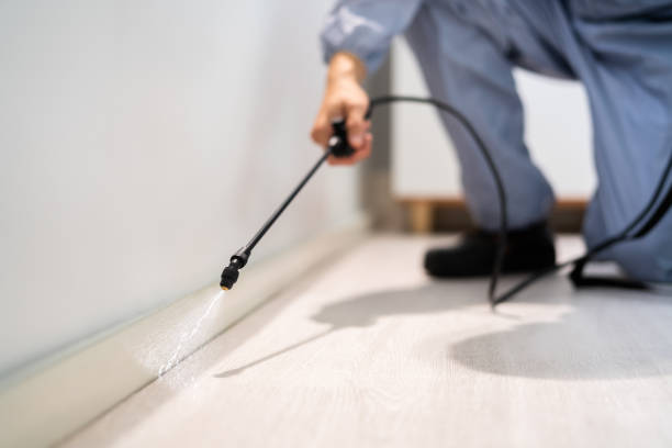 Best Affordable Pest Control Services  in Fairfield, IA