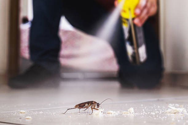 Best Affordable Pest Control Services  in Fairfield, IA