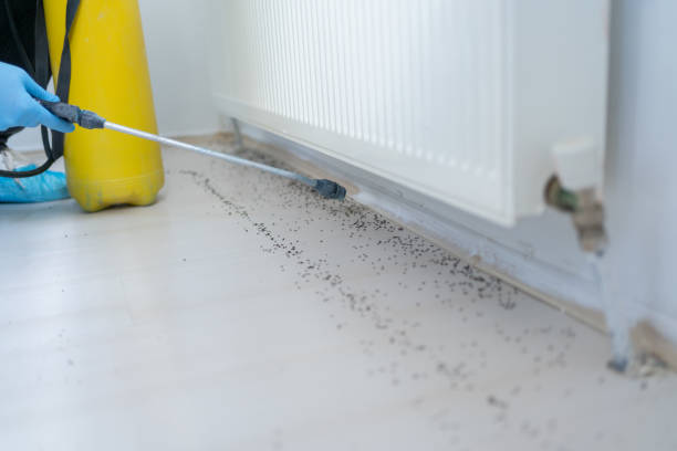 Best Best Pest Control Companies  in Fairfield, IA