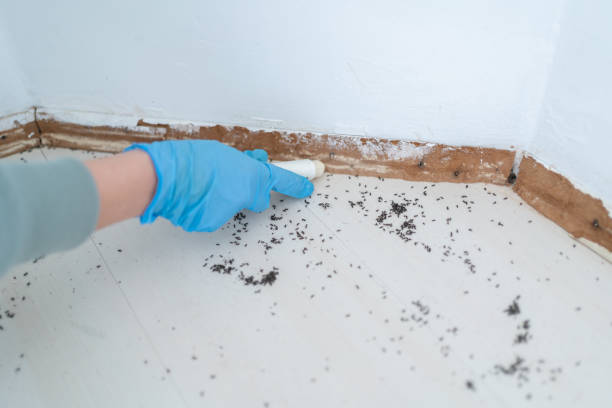 Best Residential Pest Control  in Fairfield, IA