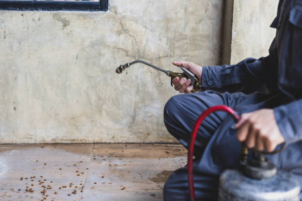 Best Pest Inspection Near Me  in Fairfield, IA